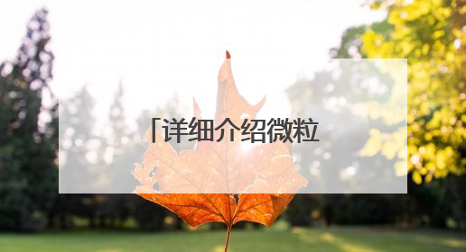 详细介绍微粒贷借钱的开通方式与官方入口
